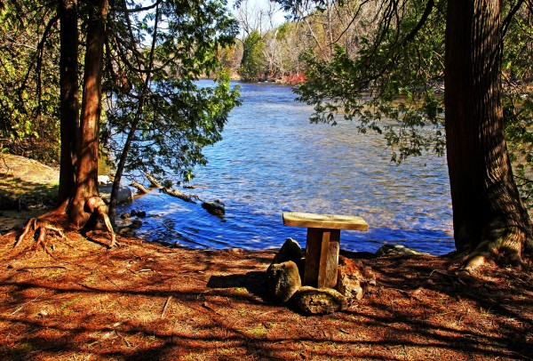 Have A Rest Enjoy The View by Deb Oppermann